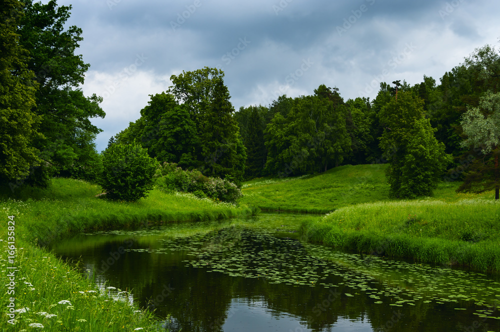 Fototapeta premium Summer landscape with river in the park of Pavlovsk, Saint-Petersburg