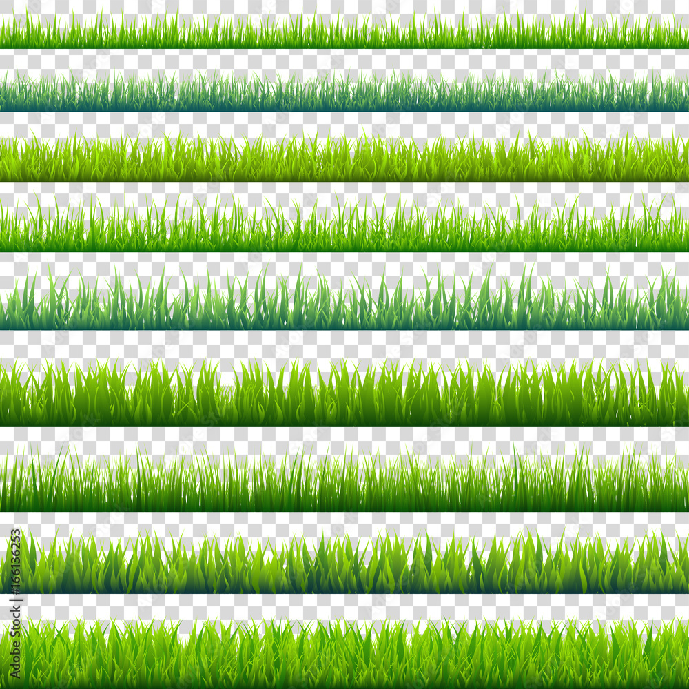 Fototapeta Grass isolated on transparent background set. Green meadow. Nature background. Spring, summer time.