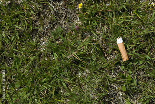 A cigarette butt / filter thrown into a green meadow in high mountains, polluting the nature and the environment, trentino alto adige, italy