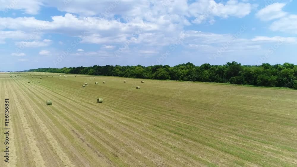 Harvester machine to harvest wheat field working. From flight altitude Harvester machine to harvest wheat field working. From flight altitude