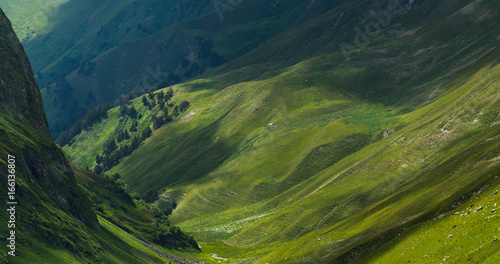 Fotografie, Obraz Picturesque mountain emerald valley of river Zagedanka