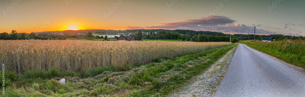 Panoramic view on the field of ripening wheat and countryside road after sunset, summer, Europe Panoramic view on the field of ripening wheat and countryside road after sunset, summer, Europe