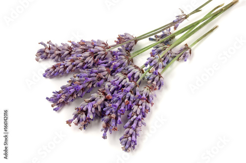 Fototapeta Naklejka Na Ścianę i Meble -  Bunch of lavender isolated on a white background