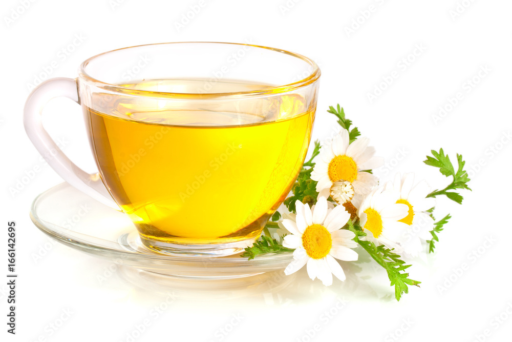 Herbal tea with fresh chamomile flowers isolated on white background - obrazy, fototapety, plakaty 