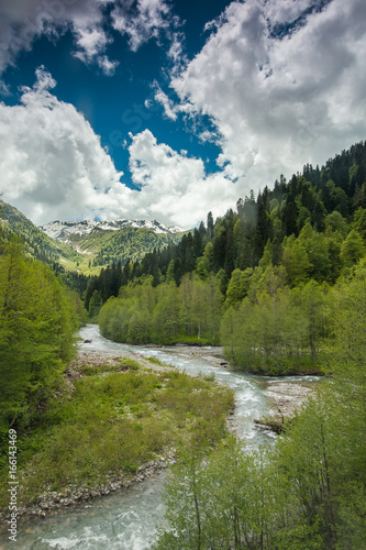 mountain river between two rocky shores on the backdrop of the forest