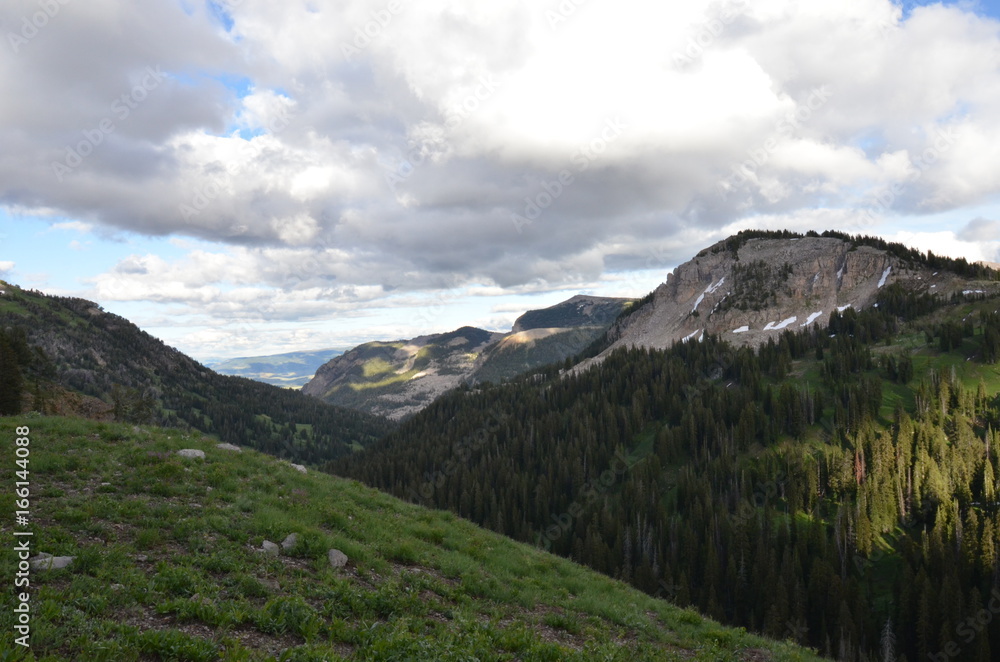 Fototapeta premium Grand Teton National Park
