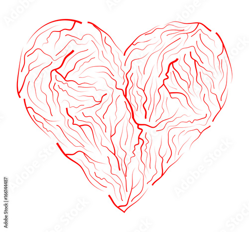 vein heart vector symbol icon design. Beautiful illustration isolated on white background