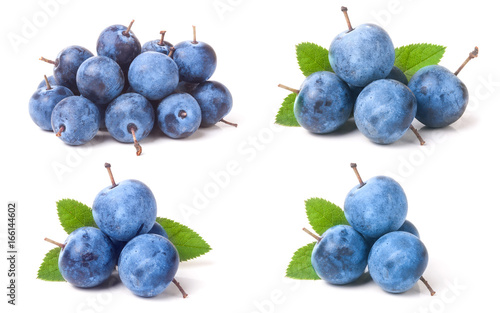 fresh blackthorn berries with leaves isolated on white background. Set or collection