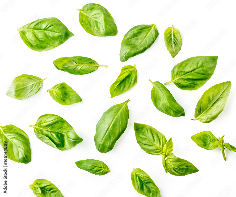 Basil leaves on white background. Top view. Basil leaves on white background. Top view.