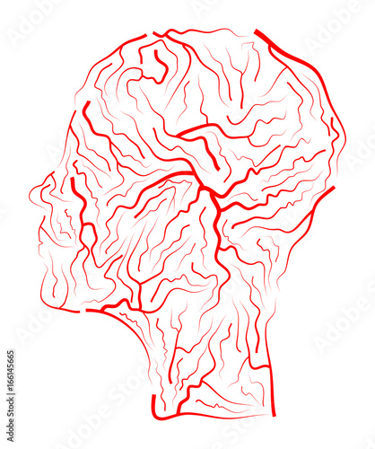 vein  human head  vector symbol icon design. Beautiful illustration isolated on white background