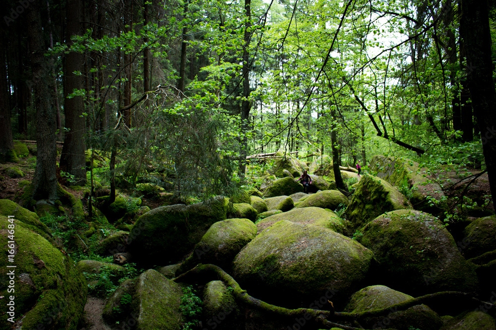 Naklejka premium rocks and river