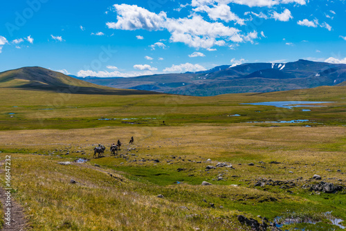 Hochmoor im Altai Tavan Bogd Gebirge Mongolei