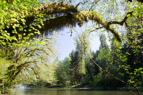 Clearwater river