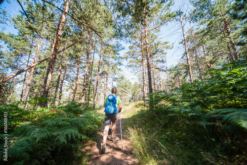 Young unrecognizable hiker enjoys walking in forest