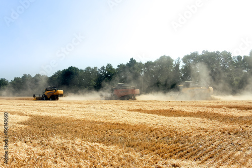 Combines harvests wheat on a field in sunny summer day © sergbob