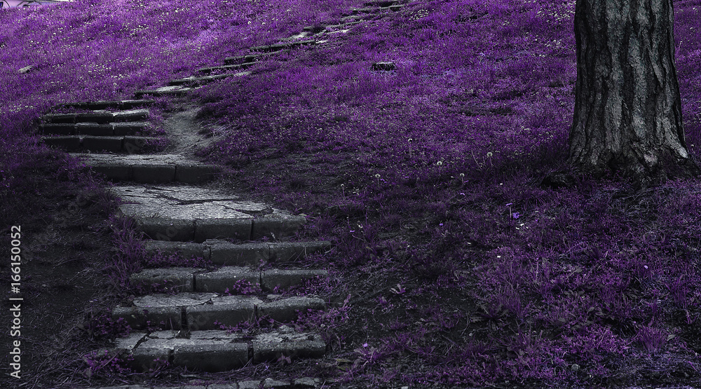 Obraz premium Schody fantasy do nikąd