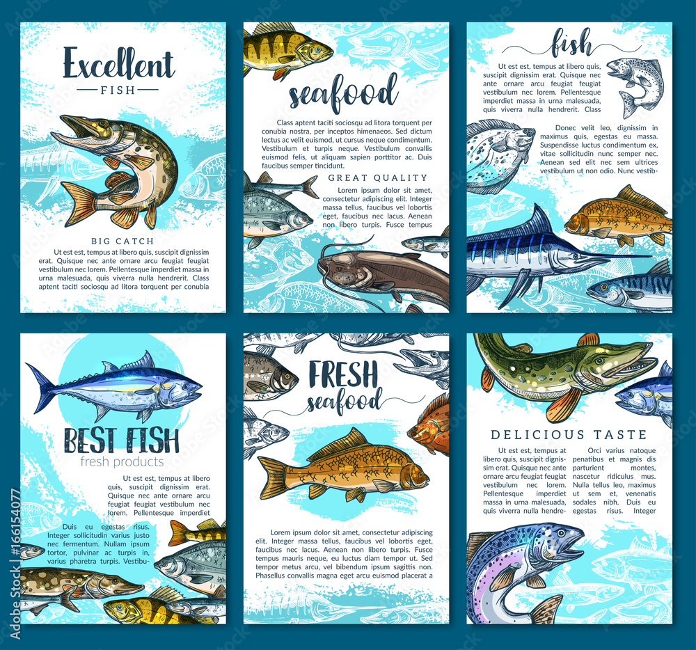 Vector posters for fresh fish seafood market