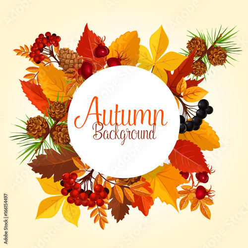 Autumn vector poster of leaf fall and forest berry