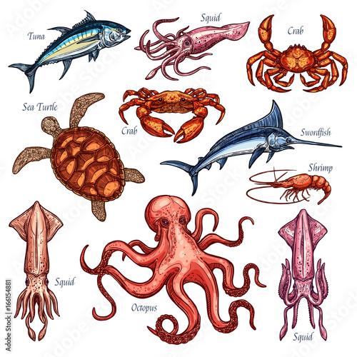 Vector icons of seafood or fish food fishing catch