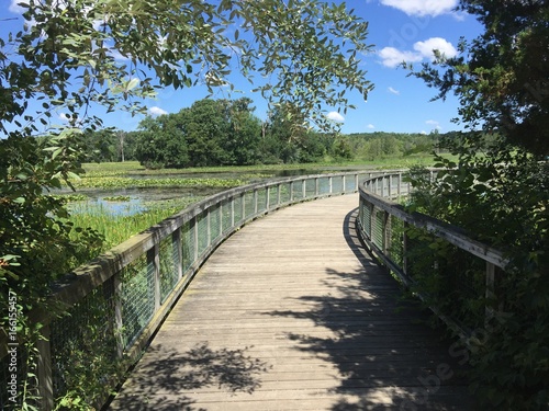 Boardwalk at Wildwing Lake © Dan