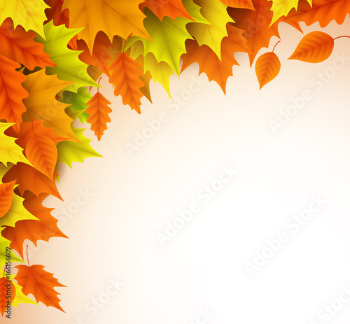 Autumn vector background template. Fall season maple leaves elements with empty blank white space for text. Vector illustration.  