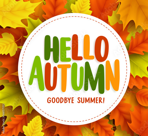 Hello autumn text greetings vector banner design with white circle for text in fall seasonal maple leaves background. Vector illustration.
