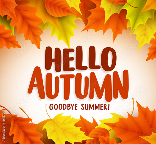 Hello autumn text greetings in vector banner design with colorful maple leaves in white background for fall season. Vector illustration.
