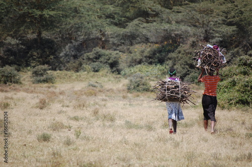 Two Women Carrying Wood in Kenya