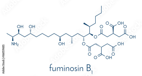 Fumonisin B1 mycotoxin molecule. Fungal toxin produced by some Fusarium molds, often present in corn and other cereals. Skeletal formula.
