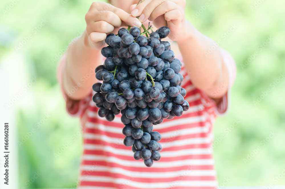 Woman holding red grape in hand,Grape harvest,Healthy fruit