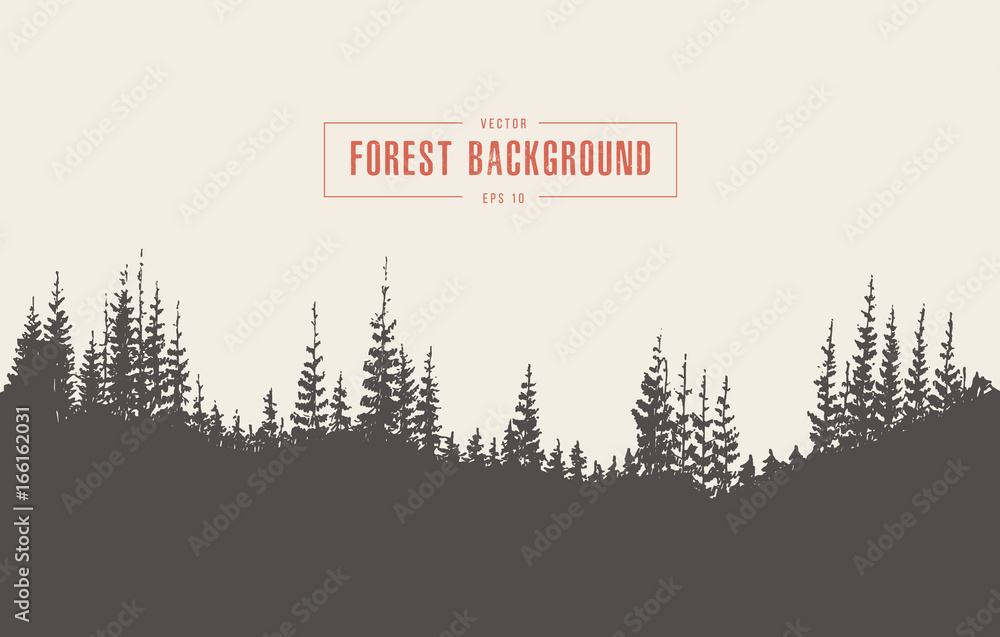 Plakat Sosnowego lasu wektorowa ilustracyjna ręka rysująca, nakreślenie