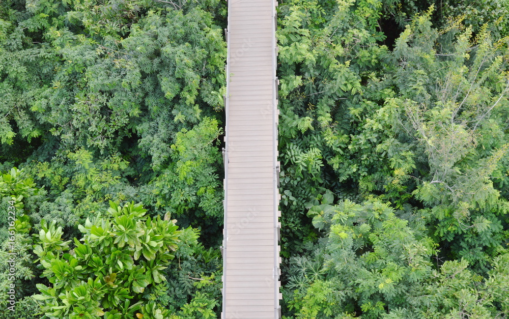 wooden bridge for looking view over forest wooden bridge for looking view over forest