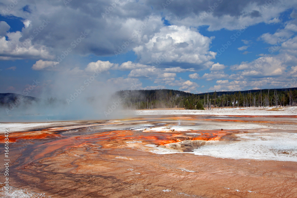 Black Sand Geyser Basin in Yellowstone National Park in Wyoming United States