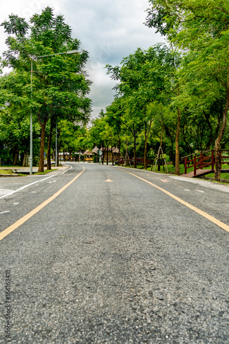 Road in the park