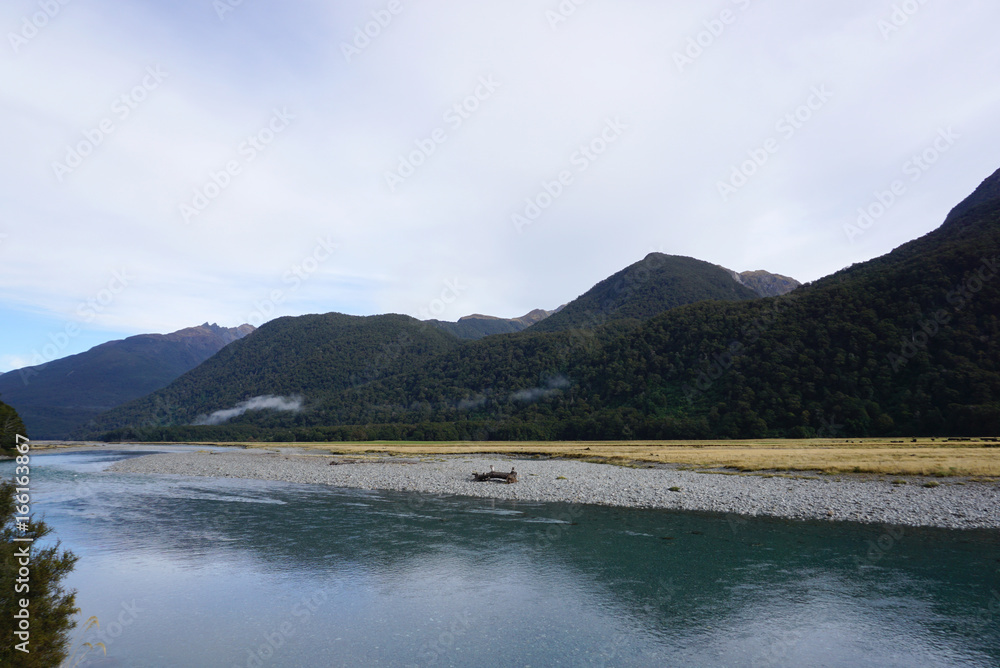 Beautiful landscape of the meadow and river along the road in New Zealand