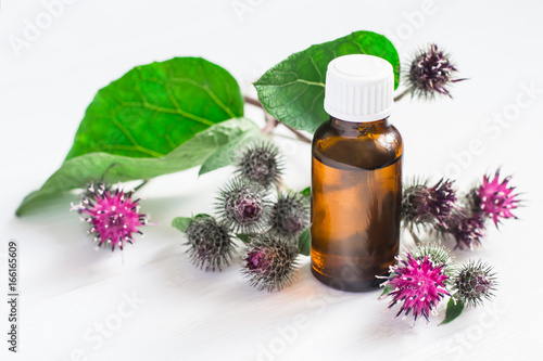 Agrimony burdock Essential oil In small bottle. Flowers spikes and leaves