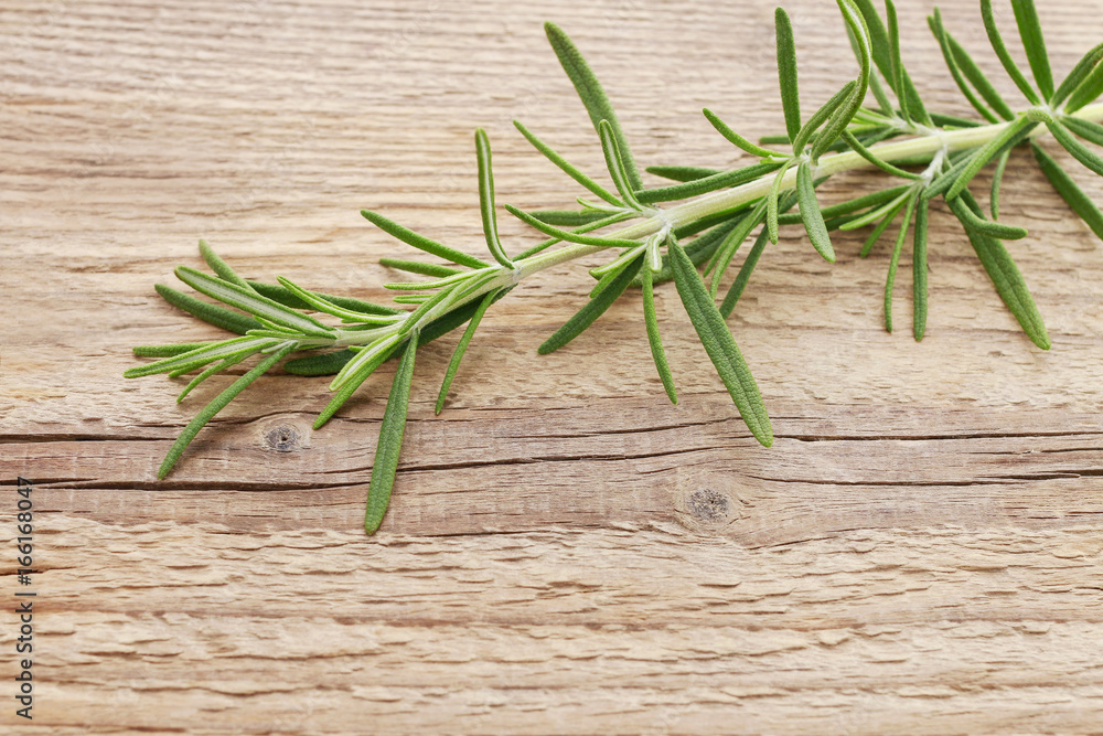 Rosemary (Rosmarinus officinalis) twig on wooden table Rosemary (Rosmarinus officinalis) twig on wooden table