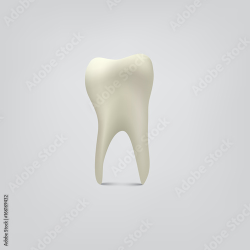 Vector tooth isolated on gray background.