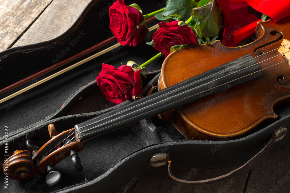 Fototapeta premium Red roses and a violin
