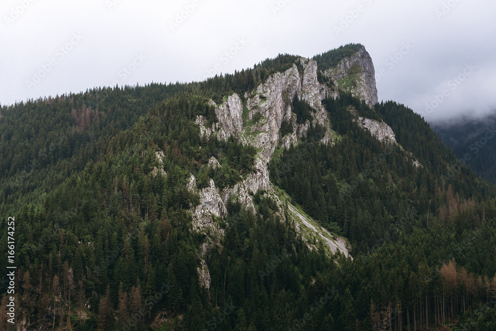 Rocky mountain with green trees in Poland, Zakopane