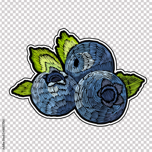 Embroidery blueberry, leaves and berries isolated on white. Classic embroidery blueberry,. Template for clothes, textiles, t-shirt design