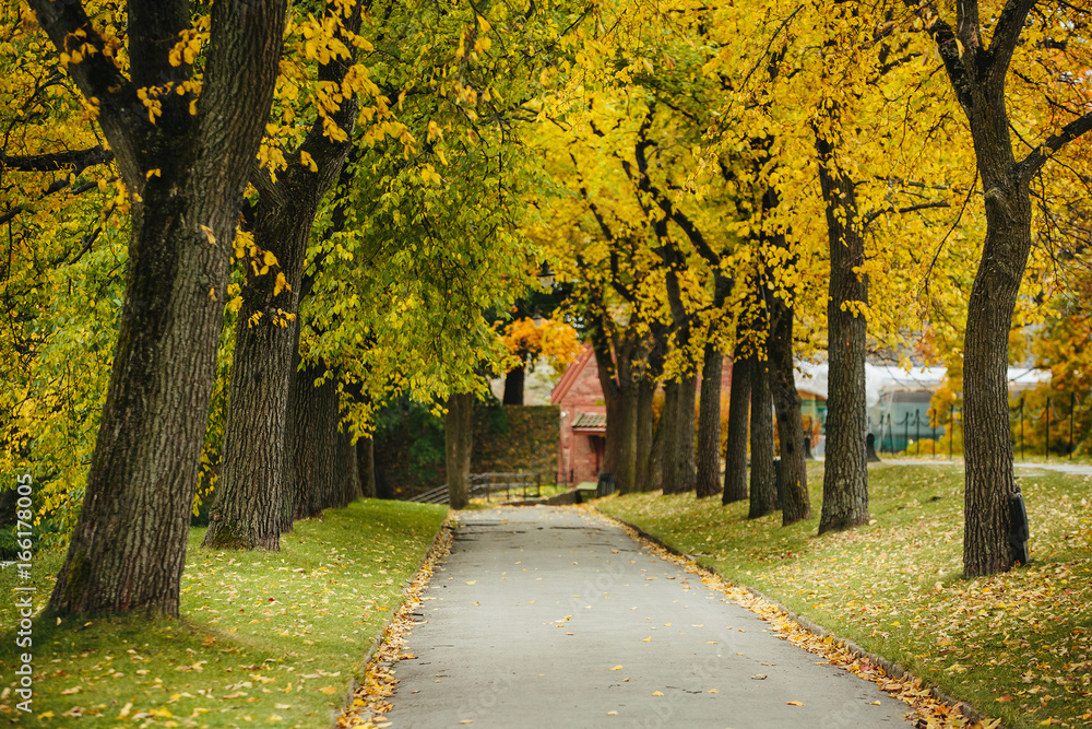 Naklejka premium Autumn park in Europe