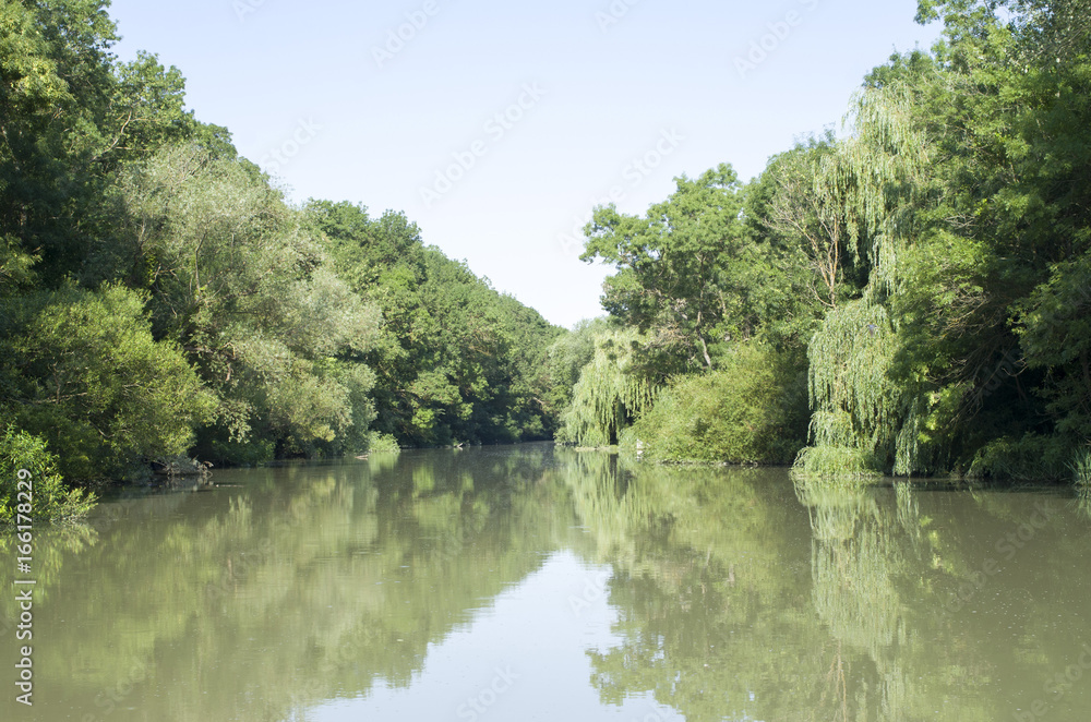 Fototapeta premium The Kamchia River in summer sunny day, Bulgaria