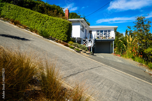 Baldwin street - the steepest street in the world, Dunedin, New Zealand photo