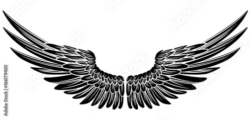 Eagle Bird or Angel Wings 