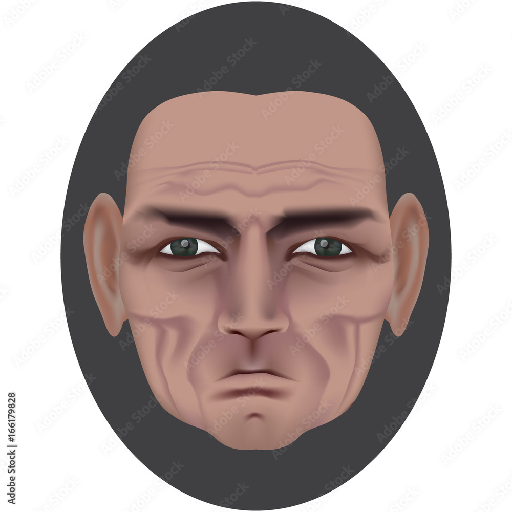 The face of an old man with deep wrinkles and a dimple on a bully. Frowning expression. Wise old man. Made by gradient mesh The face of an old man with deep wrinkles and a dimple on a bully. Frowning expression. Wise old man. Made by gradient mesh