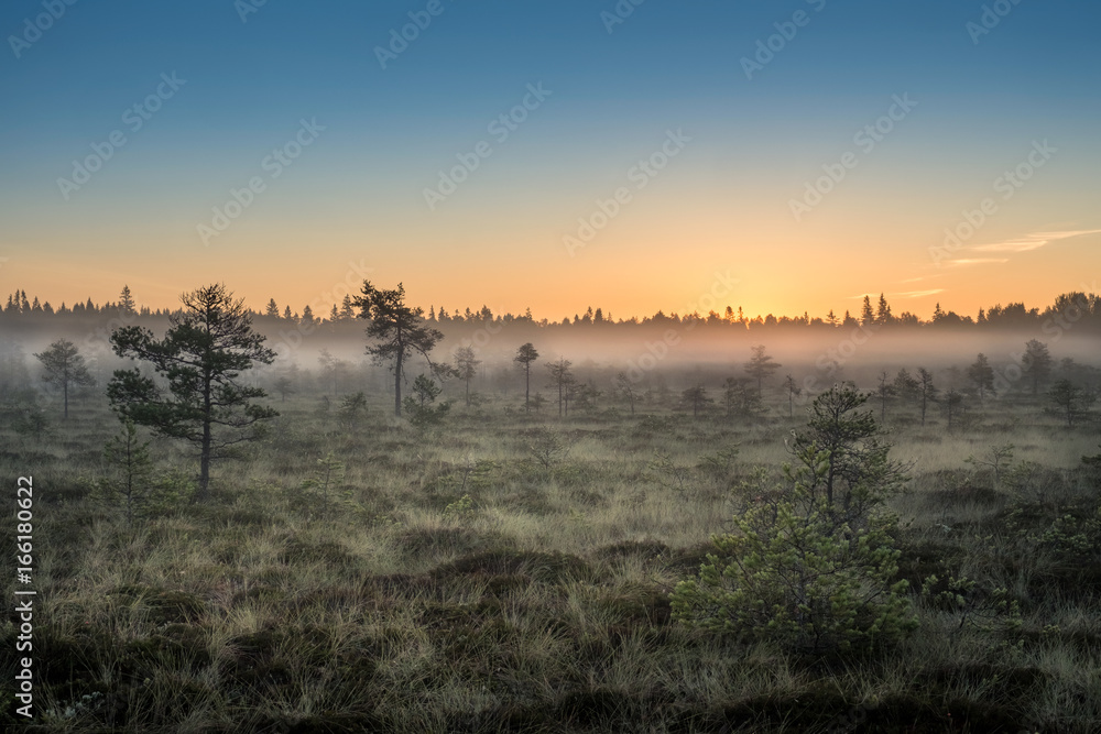 Morning fog and sunrise in Torronsuo National Park, Finland
