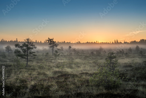 Morning fog and sunrise in Torronsuo National Park, Finland