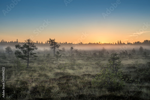 Morning fog and sunrise in Torronsuo National Park, Finland photo