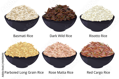 Different type of rice. Long grain, brown, white and other. Vector illustrations in cartoon style